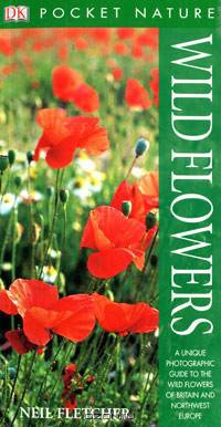 Wild Flowers