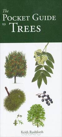 The Pocket Guide to Trees