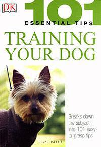 Training Your Dog