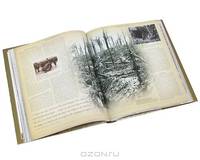 World War I
