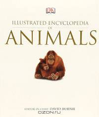 Illustrated Encyclopedia of Animals