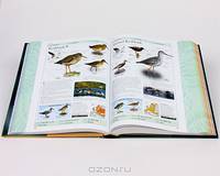 Complete Birds of Britain and Europe (+ CD)