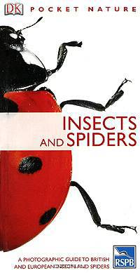 Insects and Spiders