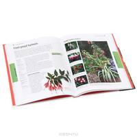 RHS How to Grow Plants in Pots