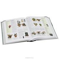 Encyclopedia of Gardening