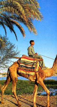Egypt
