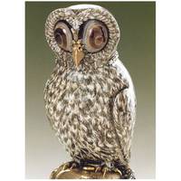 Natural Curiousities