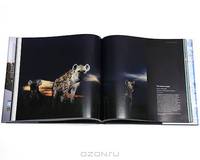 Wildlife Photographer of the Year: Portfolio 19