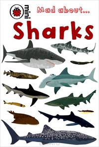 Mad about... Sharks
