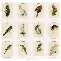Календарь 2012 (на спирали). Parrots. Edward Lear