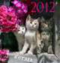 Календарь 2012 "Кошки", 6 листов