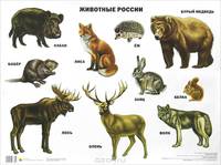 Животные России. Плакат