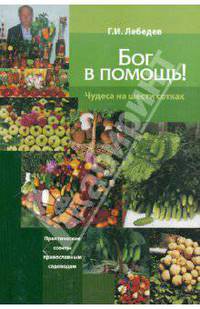 Бог в помощь! Чудеса на шести сотках