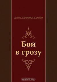 Бой в грозу