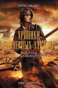 Хроники железных эльфов. Книга 2. Свет пылающих теней
