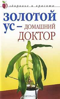 Золотой ус - домашний доктор