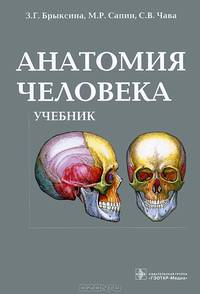 Анатомия человека. Учебник для медицинских училищ и колледжей. Гриф МО РФ