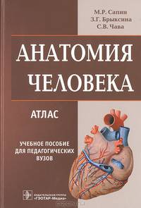 Анатомия человека. Атлас. Учебное пособие для педагогических вузов
