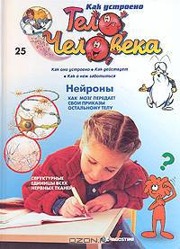 Как устроено тело человека. Выпуск 25. Нейроны