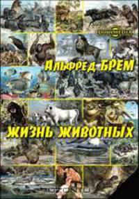 Путешествие по Нилу