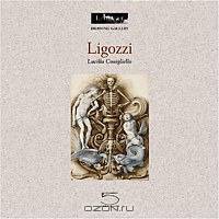 Ligozzi Louvre. Drawing Gallery