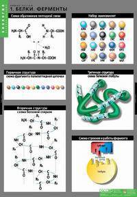 Комплект таблиц. Биология. Химия клетки (3 таблицы)