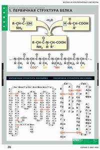 Комплект таблиц. Химия. Белки и нуклеиновые кислоты (8 таблиц)