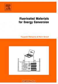 Fluorinated Materials for Energy Conversion