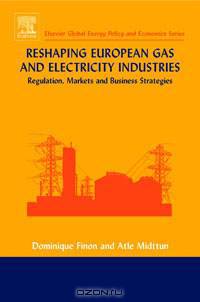 Reshaping European Gas and Electricity Industries