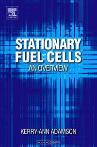 Stationary Fuel Cells: An Overview