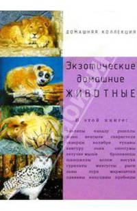 Экзотические домашние животные
