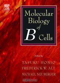 Molecular Biology of B Cells