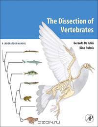 The Dissection of Vertebrates