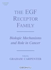 The EGF Receptor Family
