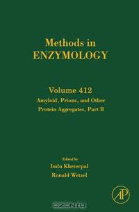 Amyloid, Prions, and Other Protein Aggregates, Part B,412