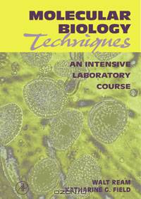 Molecular Biology Techniques