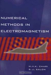 Numerical Methods in Electromagnetism