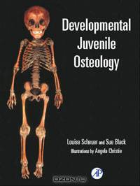 Developmental Juvenile Osteology