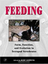 Feeding