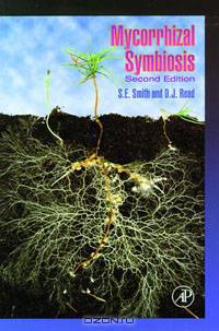 Mycorrhizal Symbiosis