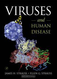 Viruses and Human Disease