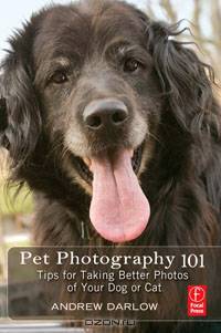 Pet Photography 101