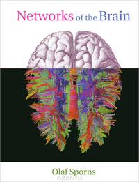 Networks of the Brain