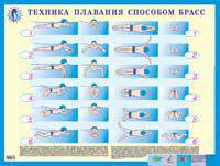 Учись плавать. Техника плавания способом брасс. Наглядное пособие