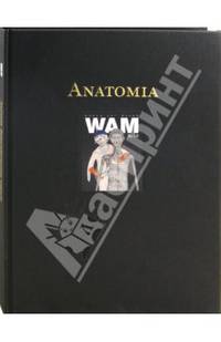 Анатомия № 18