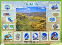 Природные зоны Российской Федерации. Тундра. Наглядное пособие