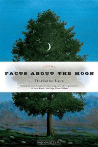 Facts About the Moon – Poems