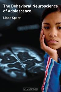 The Behavioral Neuroscience of Adolescence