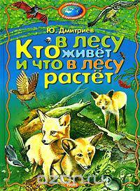 Кто в лесу живет и что в лесу растет