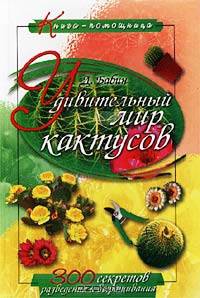 Удивительный мир кактусов